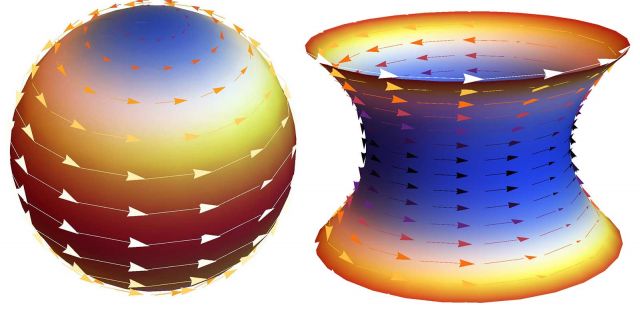 Flocking on curved surfaces