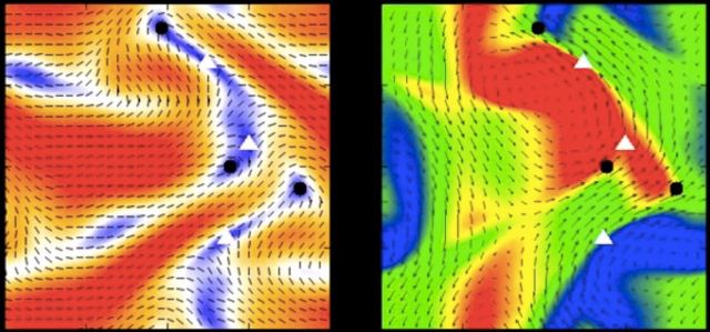Left: director and magnitude of order parameter. Right: velocity and vorticity.